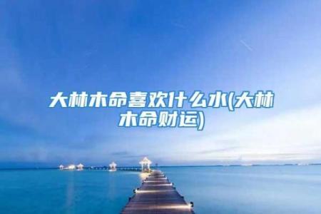 如何选择适合木命人的合作伙伴，从而提升工作效率