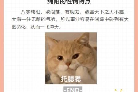 深入解读女孩纯阳命格的奥秘与人生启示