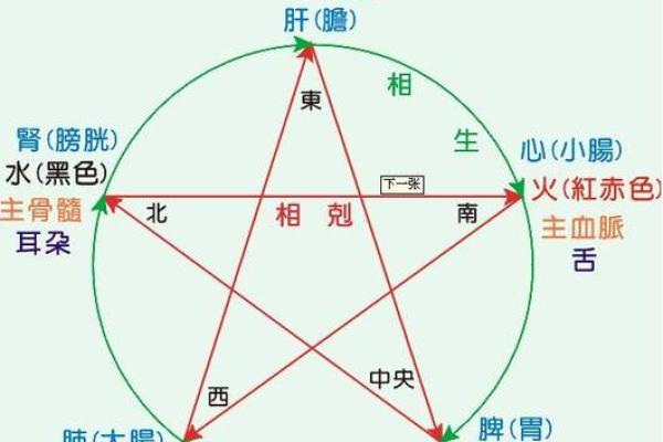 探索六月属虎人的五行命理，揭示其独特人生轨迹