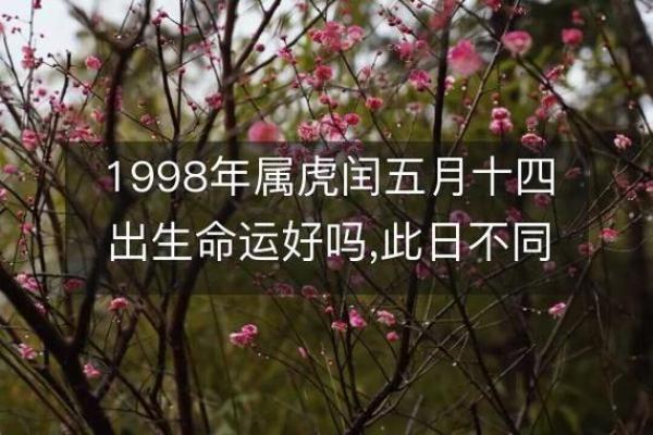 农历6月份出生日属虎的命运解析与人生启示