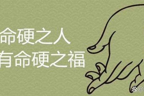 命理中的“获”：探索命运中的得失与收获之道