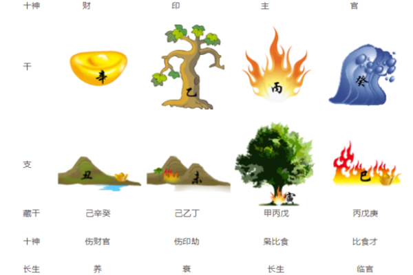 农历7月初6出生的人命运解析：水与木的交融之道
