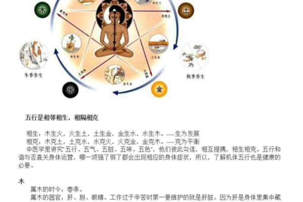 梁宇硕与五行命理的奥秘探索：如何解读他的命运之旅