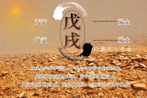 六十甲子的命运奥秘：揭秘你的年命与人生轨迹