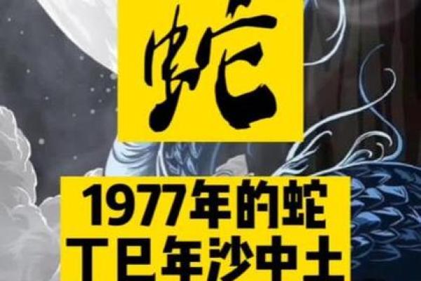 农历二月出生属蛇人的命运解析与生活智慧