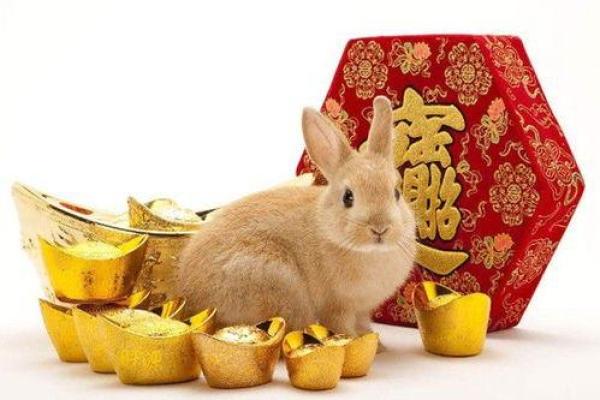 探索木命人的幸运数字：购买彩票的秘密之钥