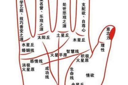 论命的准确方法:揭示命运奥秘的技巧与实践