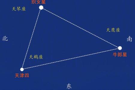 农历八月初七出生的人:命运与性格的深度解析