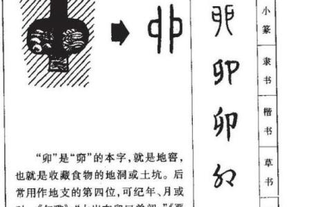 卯时卯日出生：解析其命运与性格特征的神秘之旅