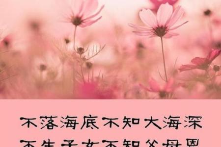 命里带元男的深意与人生启示