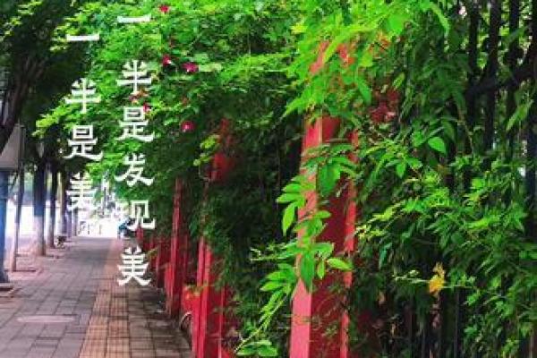农历初八出生的女性：命运与人生的独特韵味