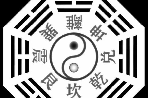 卯酉相冲：命理中的平衡与对抗之道