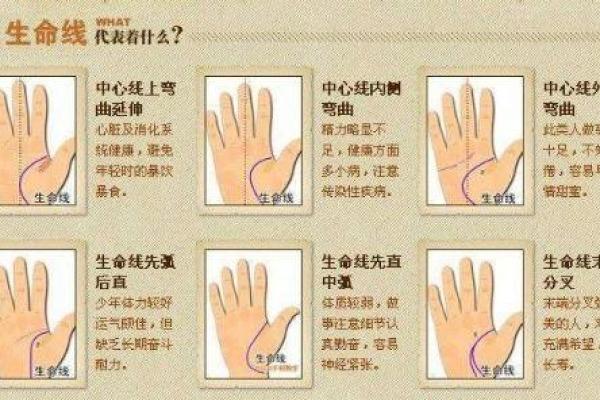 木命人的性格特点与生活智慧：探索生命的生长与蜕变