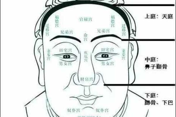 1985年出生的人：命运与性格的深度解析