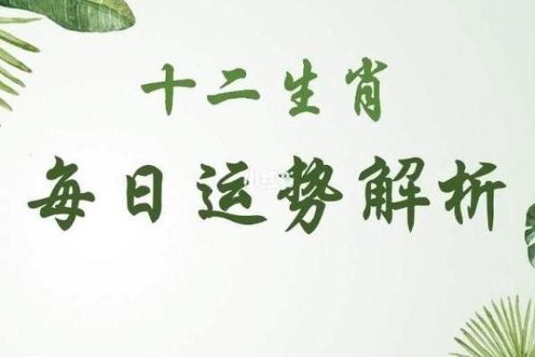 1985年出生的人：命运与性格的深度解析