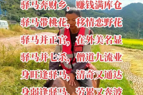 探秘盲派命卦：卦身解析与命理智慧的结合