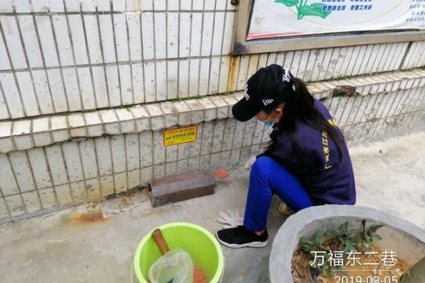 探索九月13日出生者的命理与性格特征