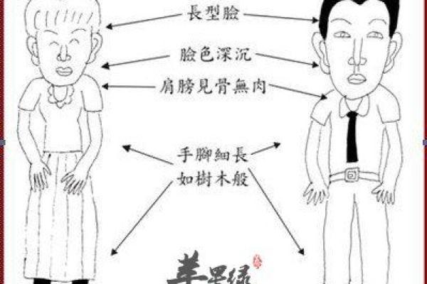 木命人五行喜忌解析：探索木命人的生活与性格之道