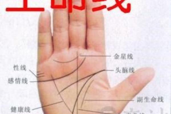 探索龙命理：男生在生活与职场中的最佳命运选择