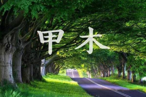 木命妈妈的理想宝宝：生肖与命理的完美结合