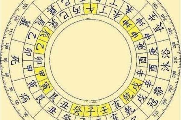 探索卯命的五行属性与命运之路