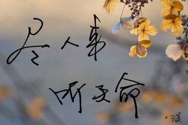 探索尼姑命：她们的生活与命运究竟如何？
