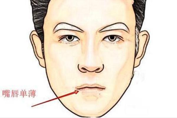 男人长得像女性的命运：身份、挑战与自我认同的探索