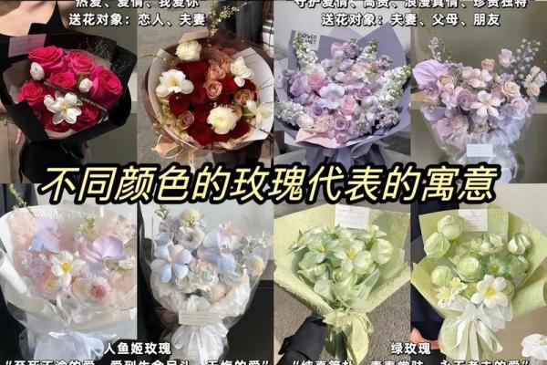 玫瑰的秘密：每一种颜色背后的深刻寓意与情感之旅
