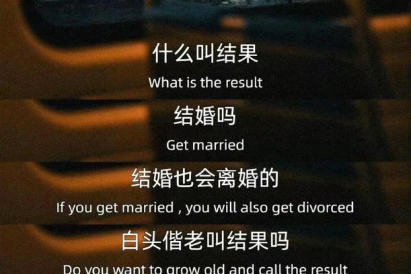玫瑰的秘密：每一种颜色背后的深刻寓意与情感之旅
