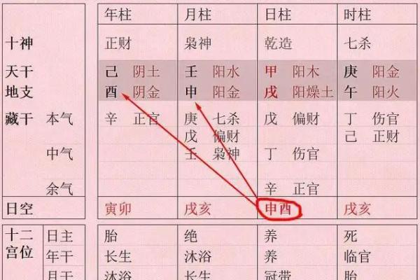 探秘女性命理：解读“一个螺”的命运与人生路径