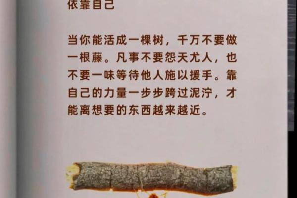 命理木太多，适合的颜色搭配，助你平衡人生能量！