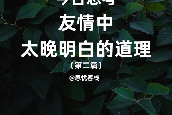 可以拿命换的朋友：友谊的真谛与生死之间的选择