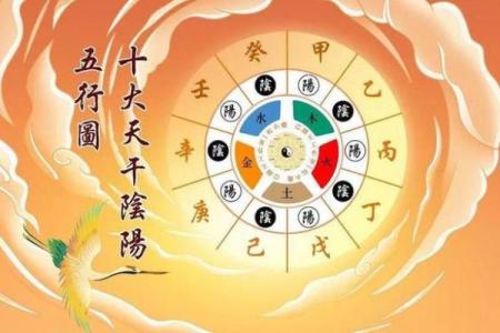 木命属相的风水禁忌：不宜摆放的颜色摆件解析