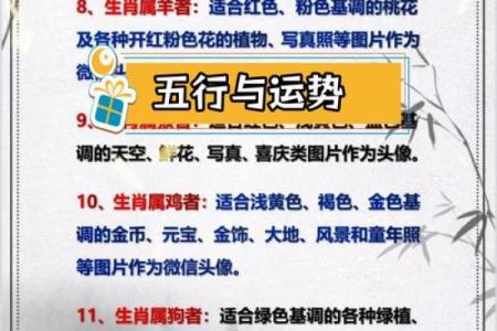 木命人适合与哪些命相合，提升运势的秘籍