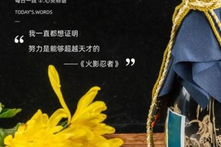 路过土命:探索天命与人生的深刻哲理