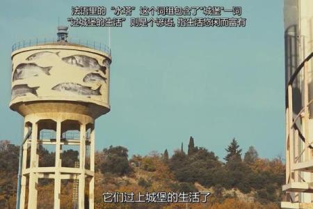 女子四两命的传奇与宿命：轻盈背后隐藏的力量与智慧