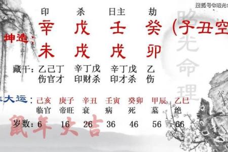探秘盲派命卦：卦身解析与命理智慧的结合