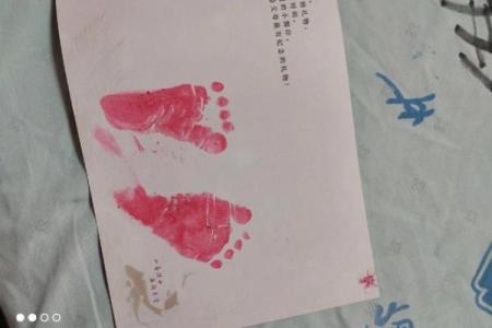 六月出生的虎宝宝:阳光下的勇者与成功之路