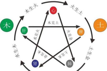 如何通过刘老板的五行命理,揭示成功背后的秘密