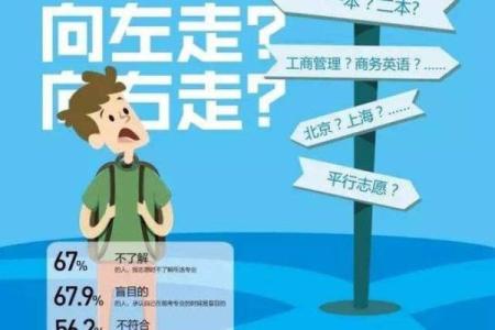探索龙命理:男生在生活与职场中的最佳命运选择