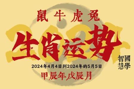 龙年命理解析：后年龙年的不同命理运势分析