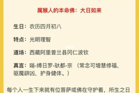 木命妈妈的理想宝宝：生肖与命理的完美结合