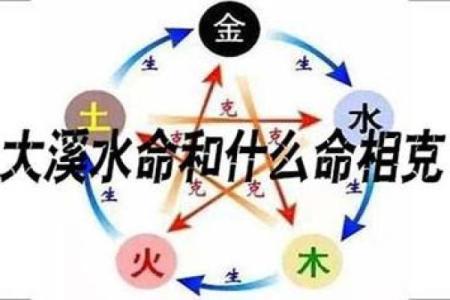 如何选择画作以提升木命、水命、土命的风水能量
