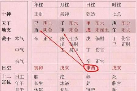 探秘女性命理：解读“一个螺”的命运与人生路径