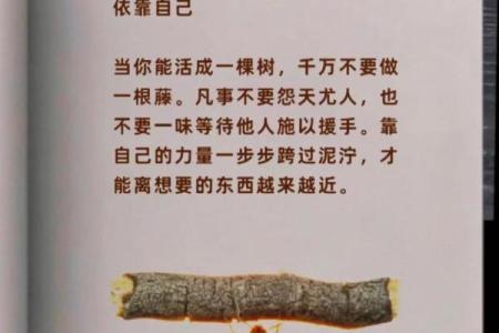 命理木太多，适合的颜色搭配，助你平衡人生能量！