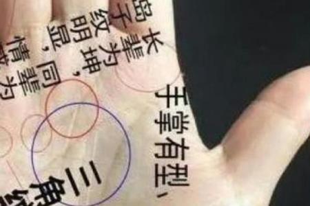 看手相揭秘:双手掌纹解读你的命运与人生轨迹
