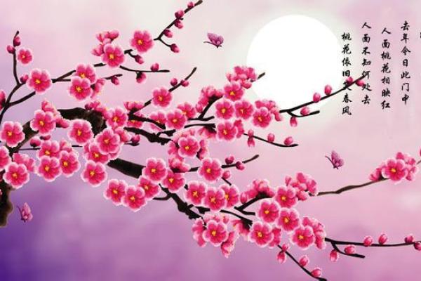 命理解析：女命中“六朵桃花”的深刻意义与影响