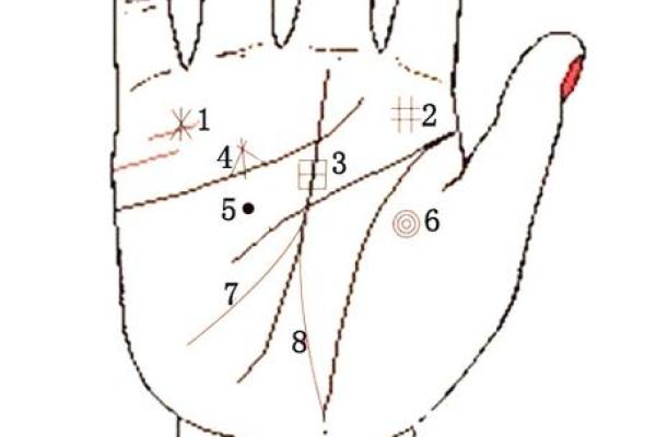女命八字中财富星的最佳选择，如何破解财运之谜？