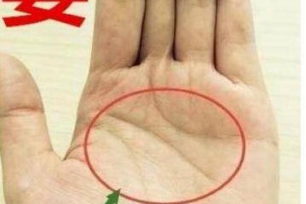 女命八字中财富星的最佳选择，如何破解财运之谜？
