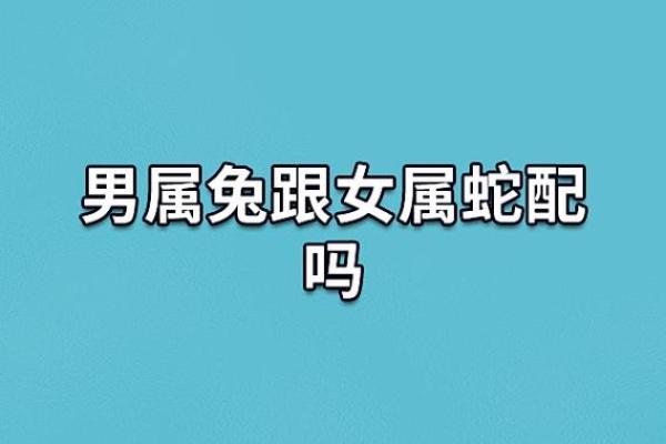 男水命与哪种命相配结婚最佳，探寻完美伴侣之道